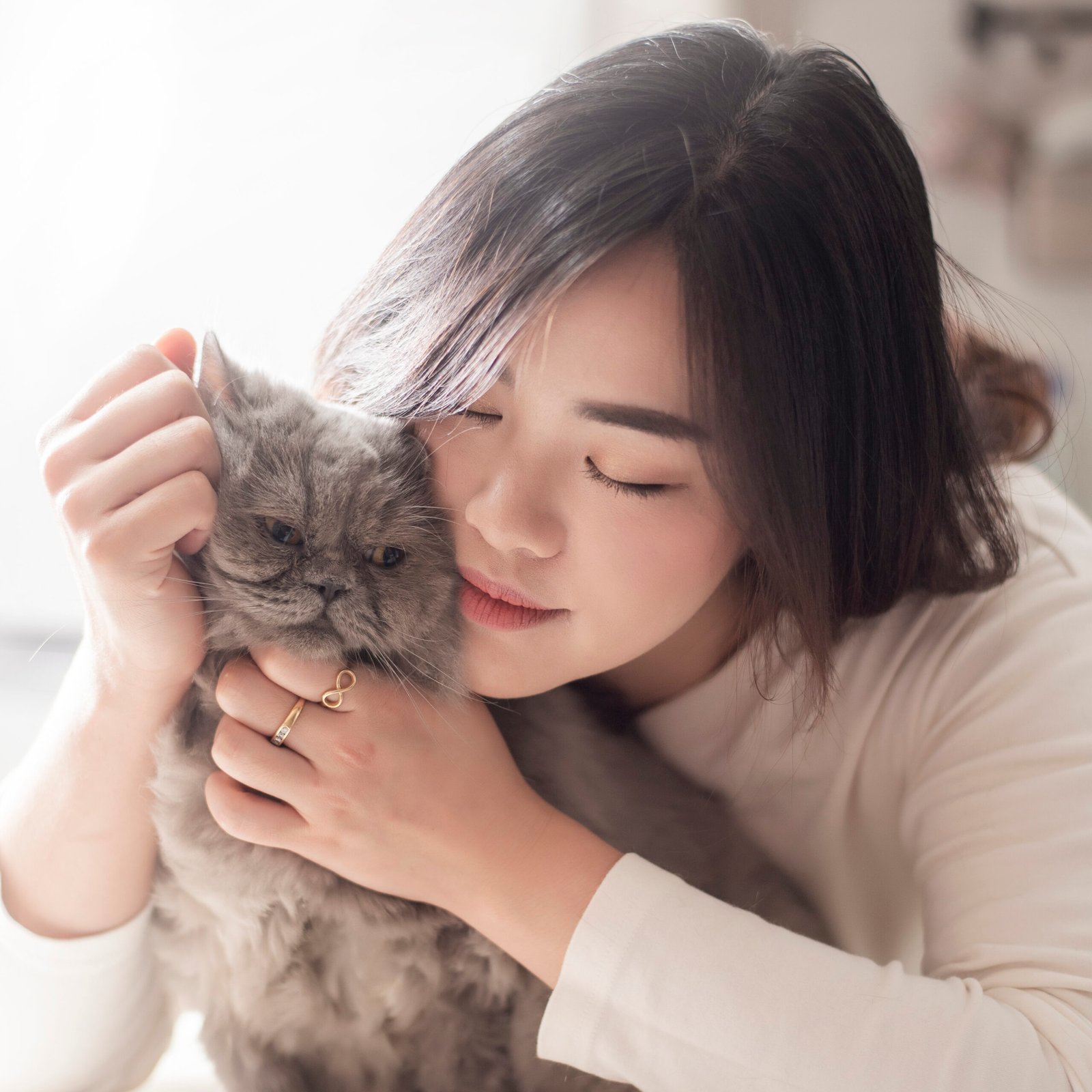 Beautiful asian cat lover woman is playing with cat in her room