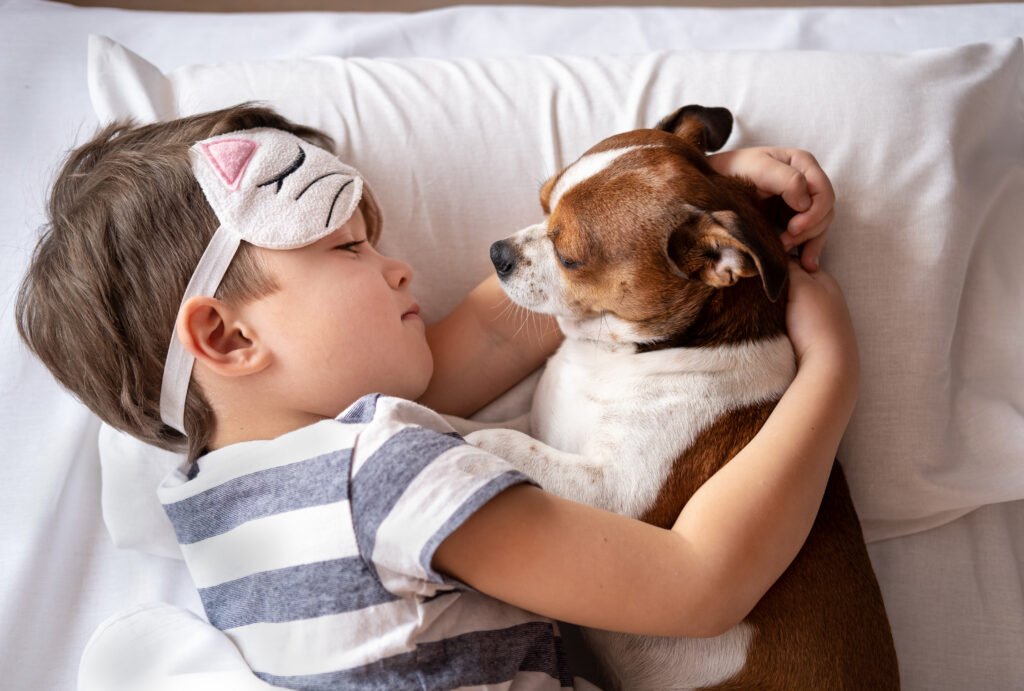 chihuahua-dog-preschool-boy-sleeping-kitty-sleep-mask-lying-bed-embracing-dog