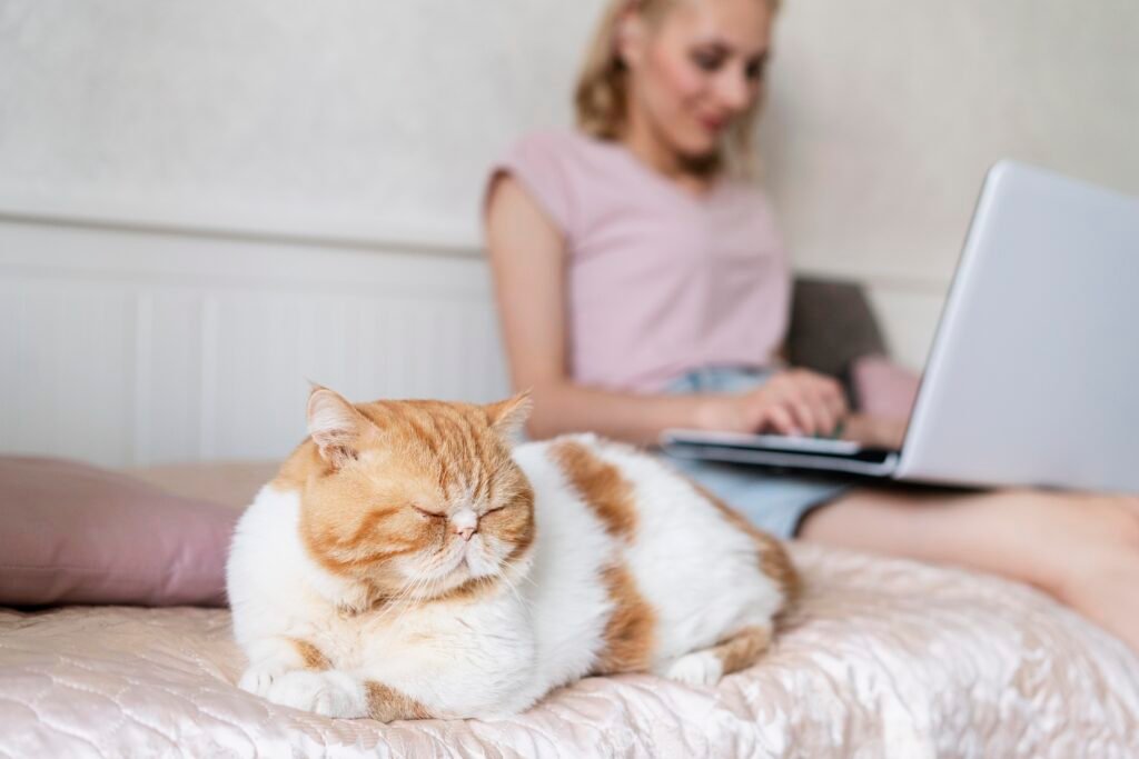 close-up-woman-with-laptop-cat