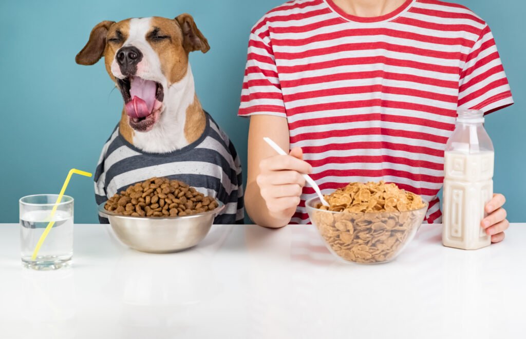 Sleepy dog and human having breakfast together. Minimalistic illustrative concept of yawning dog with a person in front of pet food and cereals bowls.