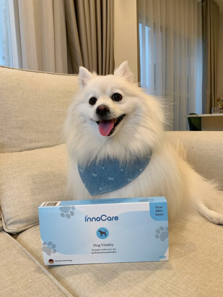 Dog next to InnoCare box