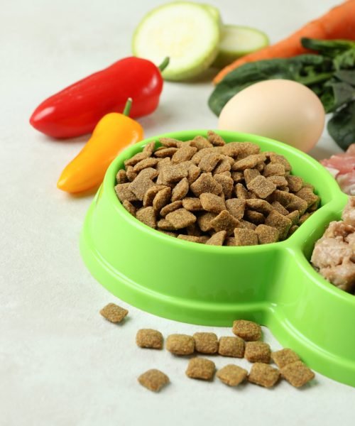 Concept of organic pet food on white textured background Concept of organic pet food on white textured background
